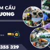 Hút Hầm Cầu Bình Dương Giá Rẻ, Hút Sạch Sẽ Đáy Hầm Trọn Gói